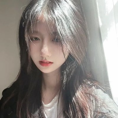 会长是女仆 特别篇